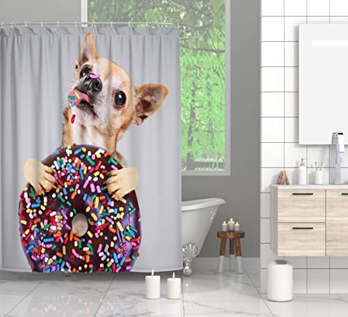 MAQUE Duschvorhang 200x200 Grauer Chihuahua Badvorhang 3D Polyester Anti-Schimmel Wasserdichtmit Duschvorhänge C-Haken für Badezimmer