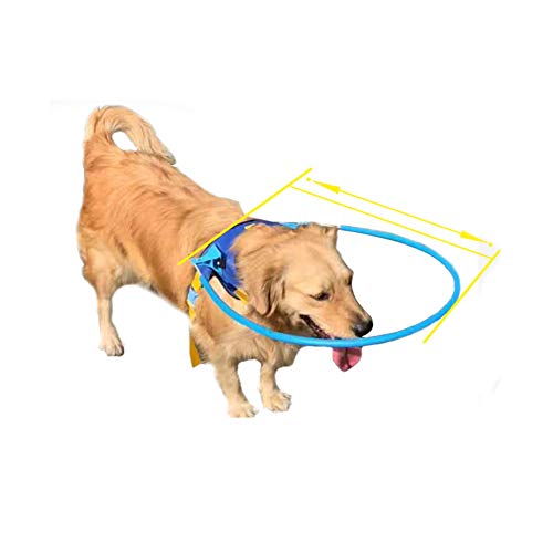 N\A Pet Safe Halo Geschirr für blinde Hunde, Kunststoff, Schutzweste-Ring für Hunde mit kranken Augen, verhindert Kollisionen, weicher Schutzwestenring (groß)