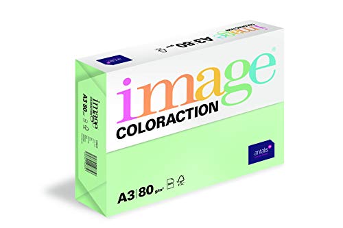 Image Coloraction Forest - farbiges Kopierpapier - DIN A3, 297 x 420 mm, 80 g/m² - buntes, holzfreies Druckerpapier für Kopierer - 500 Blatt - Grün