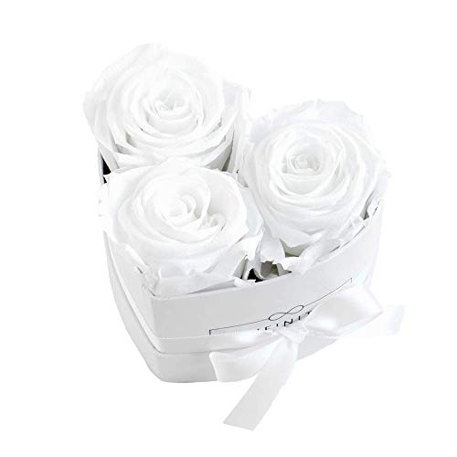 Infinity Flowerbox Small Heart Konservierte Rose, Pure White