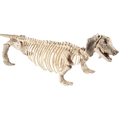 Amakando Deko Hundeskelett Knochen Dekofigur Hund Grusel Dekoration Gerippe Teckel Halloweendeko Horror Partydeko Raumdeko Halloween Skelett Dackel