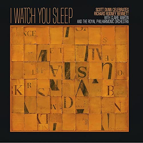 I Watch You Sleep (180g Vinyl LP) [Vinyl LP]