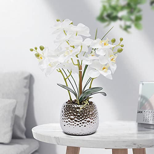 Zimmerpflanzen Orchidee Weiß Simulation Phalaenopsis, Modern Künstliche Phalaenopsis-Pflanze Wohnzimmer, Esstisch, Veranda, Teetisch für 13 * 13 * 39cm