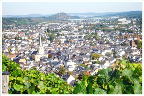 mydays Geschenkgutschein: Weinbergwanderung in Bad Neuenahr-Ahrweiler