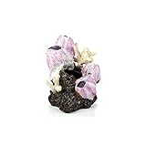 biOrb 46145 Seepflanzen Ornament S pink - stilvolle Aquariumdekoration mit Korallen und Gestein in lebensechtem 360-Grad-Design | zur Einrichtung von Süßwasser- und Meerwasseraquarien