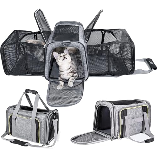 RUYICZB Transporttasche Für Katzen Und Hunde, Erweiterbare Transportbox Katze,Hund Faltbare Katzentransportbox Mit Atmungsaktiven Netzfenster Für Kleinen Hund Welpen Katze