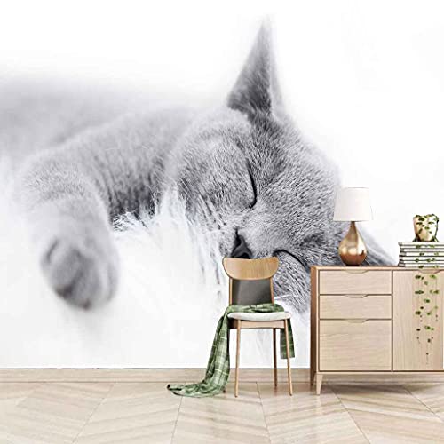FVGKYS Wandgemälde Benutzerdefinierte Wandbild Tapete 3D Tier Graue Katze Wandtattoo Kinderzimmer Wohnzimmer Schlafzimmer Fotowand Papier Selbstklebend Tapeten Wanddekoration 300x210cm
