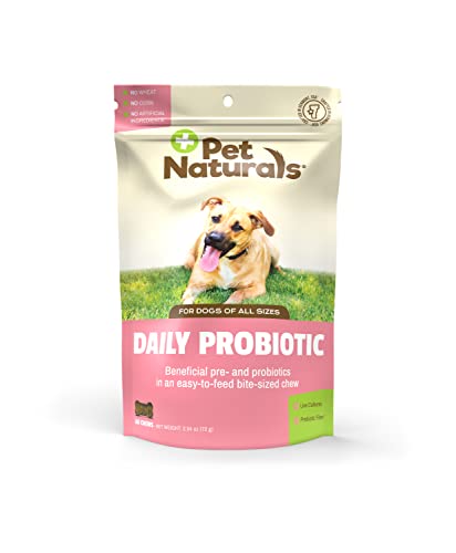 Pet natürlichen 's of Vermont Täglicher Probiotische für Hunde, Verdauungs-Gesundheit Nahrungsergänzungsmittel, 60 Bite Soft Chews Spielzeug