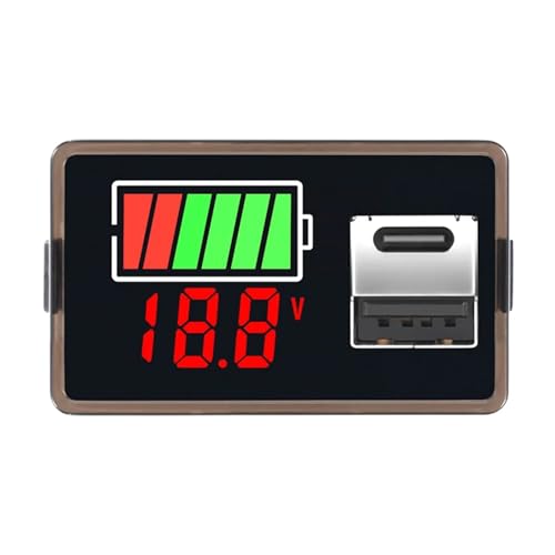 SRWNMTGFK Typ C USB DC8-100V 4829 Autobatterie-Voltmeter Ladezustandsanzeige Lithium-Batterie-Kapazitätsmesser Testanzeige LED-Tester (Color : Type I)