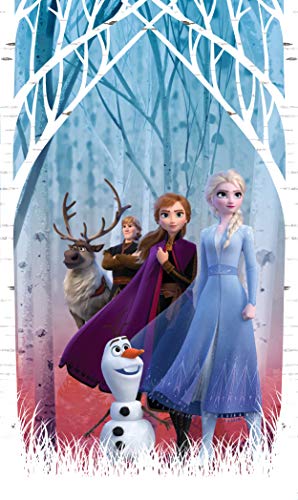 AG Design ELSA mit Freunden im Herbstwald, Frozen 2, Disney, Vorhänge für Kinderzimmer, 1 Teil, Mehrfarbig, 140 x 245 cm