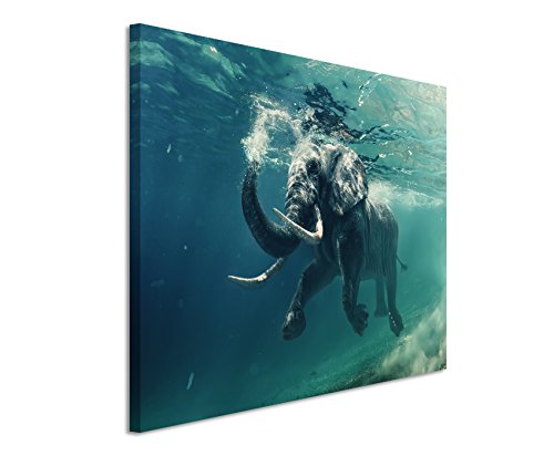 Unique Fotoleinwand 120x80cm Tierbilder – Schwimmender Elefant unter Wasser