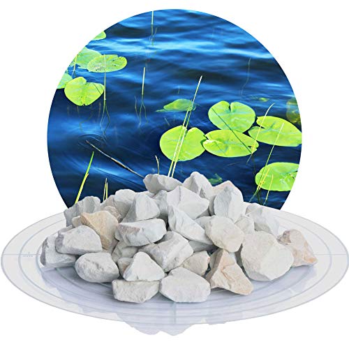 10 kg Zeolith-Aqua Wasseraufbereiter, Filtermedium zur Nutzung im Gartenteich, Schwimmteich, Aquarium und Sandfitleranlage von Schicker Mineral (16,0-32,0 mm)