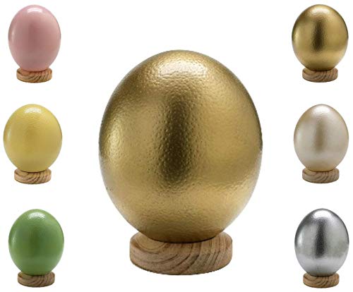 Klocke Dekorationsbedarf Südafrikanisches Straußenei Farbig - Hochwertige Qualität – 1 Stück (ohne Standfuß) – Entleert & Ausgeblasen & Gereinigt (Gold)