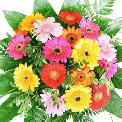 Bunter Blumenstrauß mit Gerbera - Blumen-Geschenktipp zum Geburtstag