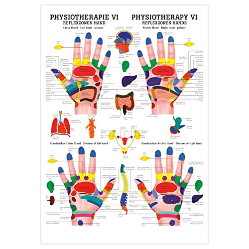 Rüdiger Reflexzonen Hand Poster Anatomie 70x50 cm medizinische Lehrmittel