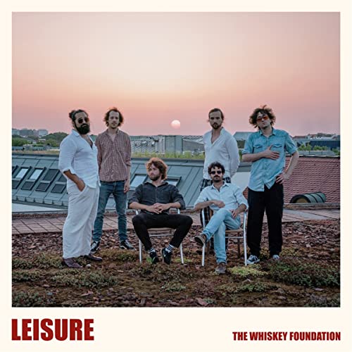 Leisure [Vinyl LP]