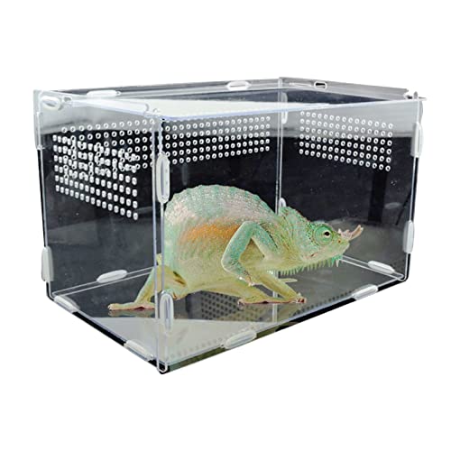 Reptilien-Futter-Terrarium-Box, Schildkröten-Eidechsen-Futterbox, Reptilien-Zuchtbox, transparentes Acryl, Reptilienbox, Spinnen, Eidechsen, Grillen, Futterbox,