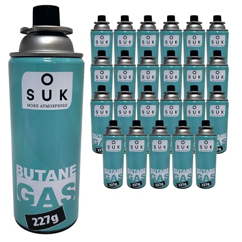 SOUK ONE Gaskartusche Premium 227g Typ MSF-1a Bajonett Ventil Campingkocher, Gasheizung, Camping Gas Butangas Kartusche (28x 227g)