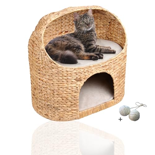 Rohrschneider® Premium Katzenhöhle aus Wasserhyazinthe | Kuschelhöhle für Katzen mit waschbaren Kissen | Katzenhaus, Katzenkorb zum Schlafen | Katzensofa modern | Katzenbett hoch | Möbel für Katzen