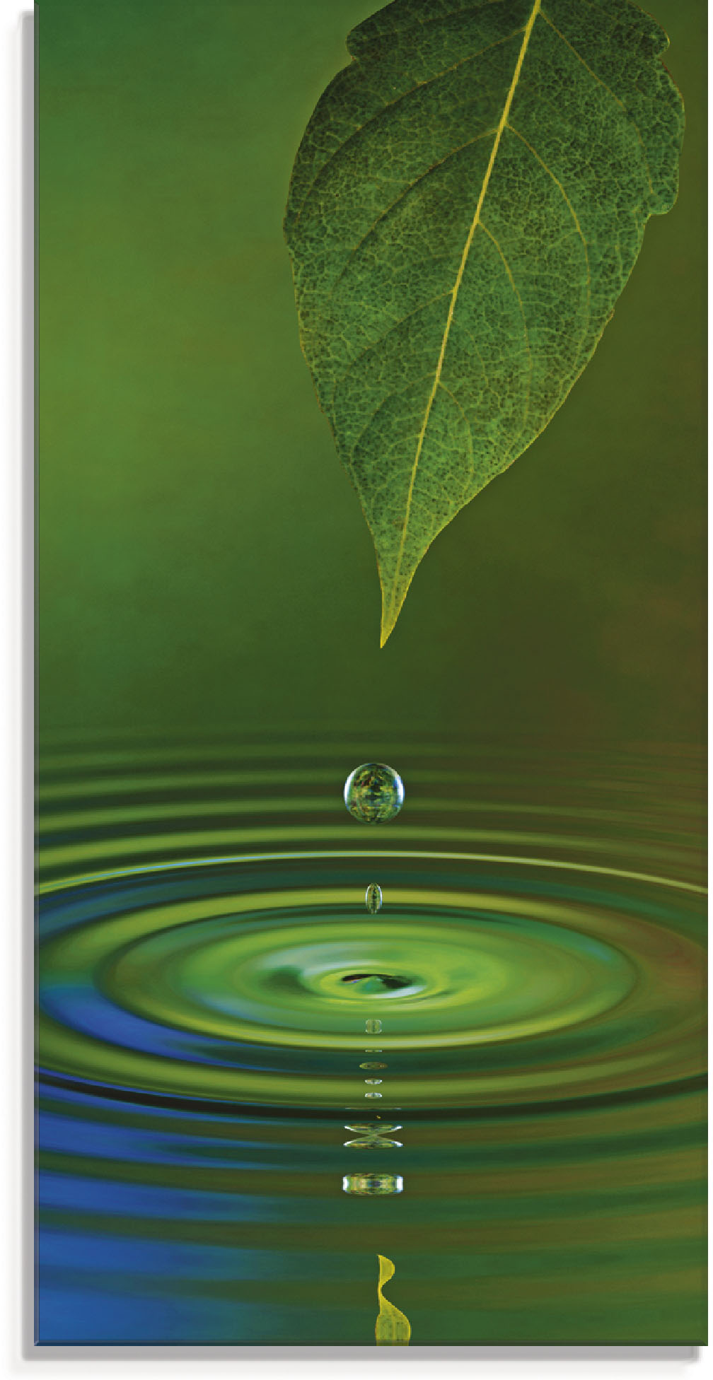 Artland Glasbild "Wassertropfen", Zen, (1 St.)
