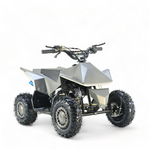 KXD M2 E-Starter 6" 49ccm 2T Quad Mini ATV Miniquad Benzinmotor Kinderquad Kinder Enduro Pocketquad