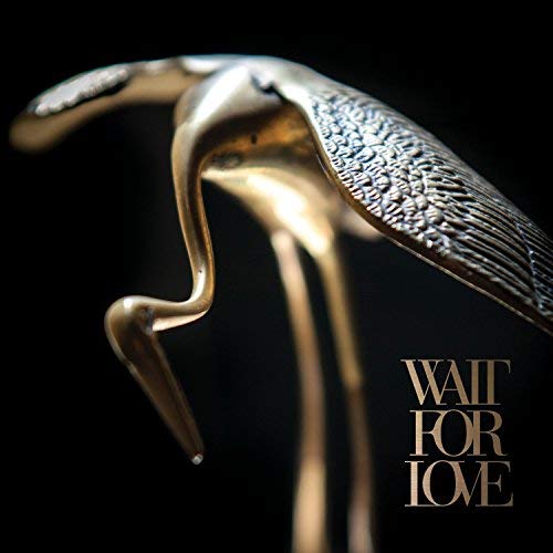Wait for Love [Vinyl LP]