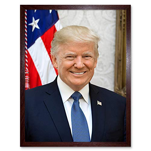Craighead Portrait US President Donald Trump Photo Art Print Framed Poster Wall Decor 12x16 inch Porträt Präsident Fotografieren Wand Deko
