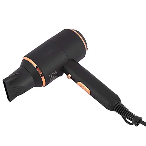 Elektrischer Negativionen-Haartrockner, einstellbarer Föhn mit 3 Stück Winddüsen und Barrierenetz-Designs für eine effektive Pflege des Haares (EU-Stecker 220 V)