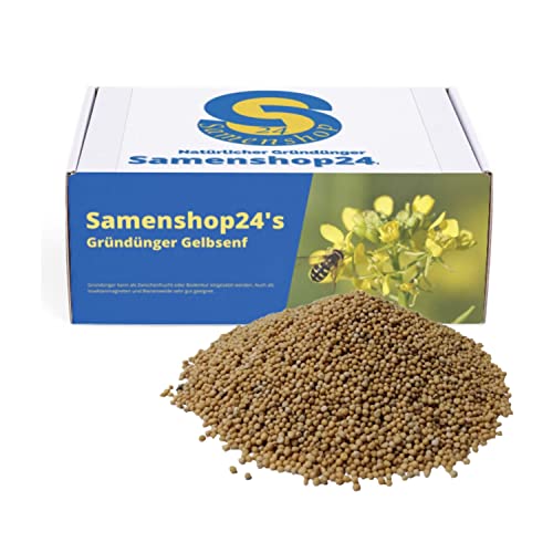 Samenshop24® Gelbsenf, Inhalt: 5kg für ca. 1000m², schnellwüchsig, starke Bodendurchwurzelung, Nahrungsquelle für Nützlinge (Bienen & Falter), Bodenkur & Gründünger, Premium Saatgut