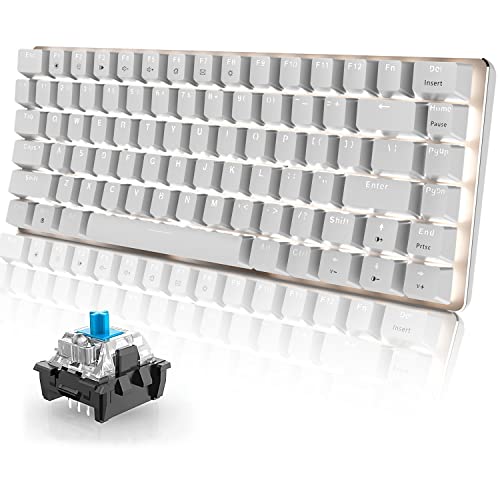 60% Mechanische Gaming-Tastatur-Hot Swap-Swap-Swap-Tasten mit kabelgebundener Kabel-Typ-C Kompakte Tastatur mit weißem LED-Hintergrundbeleuchtung für PC-Gamer /--Typisten (blauer Schalter, weiß)