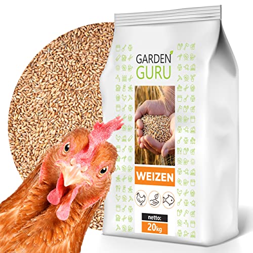 GardenGuru Weizen Futter 20kg Huhnerfutter Nagerfutter, Kaninchenfutter Weizenkörner Getreide Korn Essen Wildvögel Kaninchenfutter