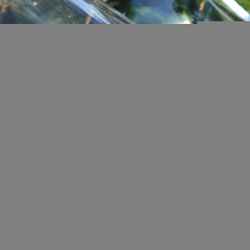 AMXFS Transparente Plane mit Ösen Abdeckplane 0.35mm Pflanzenschutz Regen-Vorhänge 4.1 * 0.5m PVC Glas Klare wasserdichte Tarps Schutzplane für Gartenmöbel Kältebeständig Regenfest Frostschutzmittel