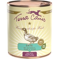 Terra Canis Classic 800g Dose Hundenassfutter