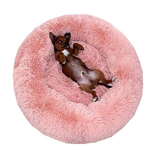 Monba Premium Orthopädisches Haustierbett für große und extra große Hunde,Donut Hundebett Weiches Plüsch Rundes Hundesofa mit Wasserfeste Unterseite,Hundekörbchen waschbar