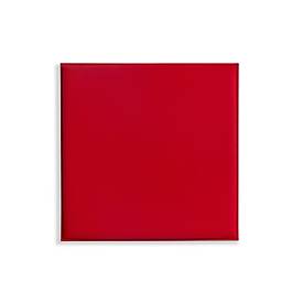 Deckenpaneele colorPAD®, für Rasterdecken, B 620 x T 620 x H 32 mm, feuerrot, glatt