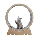 Cat Running Wheel Katzenlaufrad,Ultra-Quiet Running Cat Übung Rad mit Locking Mechanismus, Haustier Laufband Laufrad für Indoor-Katze Sport Spielzeug Katze Möbel