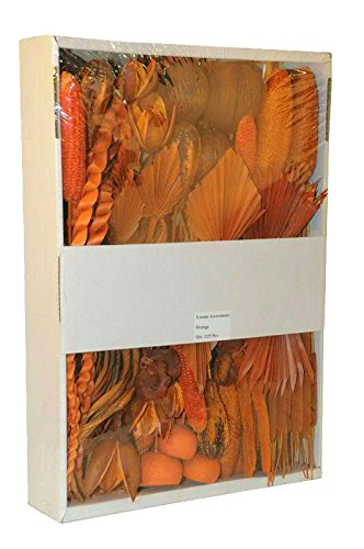 Exotensortiment India - Hochwertige Exoten Indiens - Farbe: Orange - Floristenpackung - Deko für Allerheiligen / Totensonntag / Trauertage