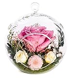 Rosen-Te-Amo Elegantes Gesteck aus 4 konservierte Blumen in hängende Vase; PREMIUM Rosen-Deko handgefertigt aus 100% echtes Bindegrün - Geschenk für exklusive Anlässe
