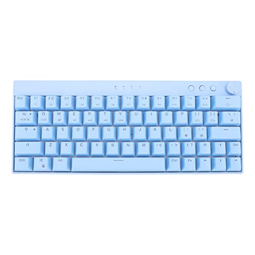Mechanische Tastatur, 64 Tasten RGB Ergonomische 1800 MAh Wiederaufladbare Tastatur, Kabellose 2,4 G//Type-c Kabelgebundene Schreibmaschine, für für für OS (Roter Schalter)