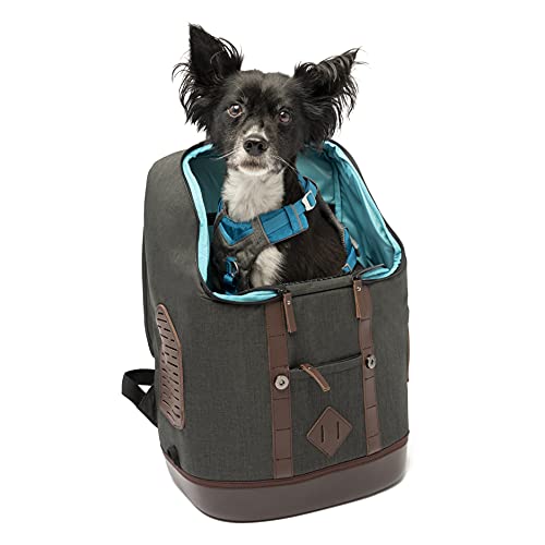 Kurgo K9 Rucksack, Hunde Tasche, Rucksack für kleine Haustiere, Wasserdichter Boden, Rucksack für Hund bis 11kg, Tasche für Katzen, Schwarz