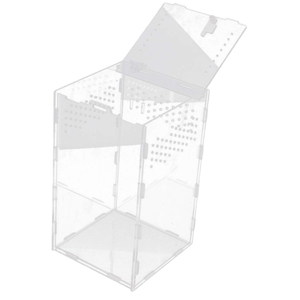 Backbayia transparente Glasbecken Spinnen Terrarium Reproduktionsbox für Schlangen, Eidechse, Schildkröte, Reptilien