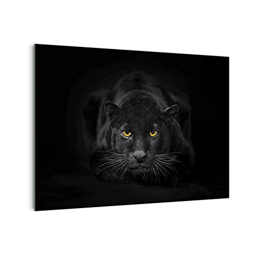 DekoGlas Küchenrückwand 'Schwarzer Puma' in div. Größen, Glas-Rückwand, Wandpaneele, Spritzschutz & Fliesenspiegel