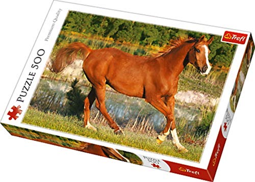 Trefl 371840 Puzzles - 500 - The beauty of gallop