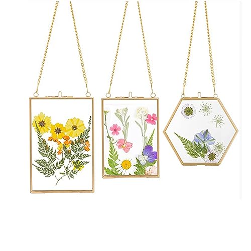 Tiamu 3 Packungen Gepresste Blumen Glas Rahmen - Goldene Hängende Glas Bilder Rahmen Pflanze Probe Clip mit Kette, Schwimmende Mach Es Selbst Kinder Kunstwerk Display Rahmen, Galerie-Wanddekoration