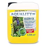 AQUALITY Aquarium Algen-EX (GRATIS Lieferung in DE - Erstklassiger Algenvernichter, Algenmittel, Algenentferner, Algenstopp - Befreit Fadenalgen, Bartalgen, Kieselalgen, Blau- + Schmieralgen), Inhalt:5 Liter