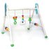 HESS Baby-Gym Frosch Toni