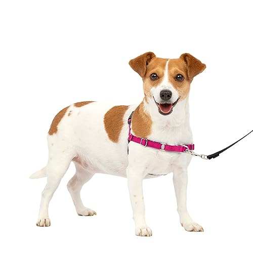 PetSafe Easy Walk Hundegeschirr, kein Ziehen, Himbeere/Grau, Größe S