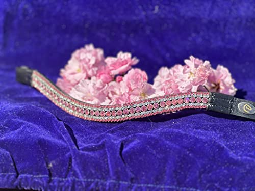 Equipride 5-reihiges Stirnband, gebogene Form, Kristall, Pink (voll, schwarzes Leder)