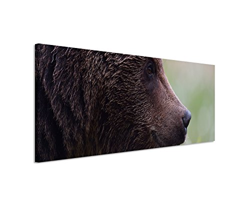Wunderschönes Wandbild 150x50cm Tierbilder – Porträt eines Braunbärens von der Seite