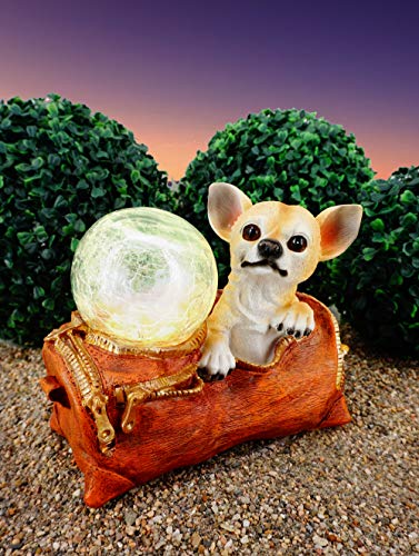 Solarleuchte Chihuahua Schwartinsky Orange